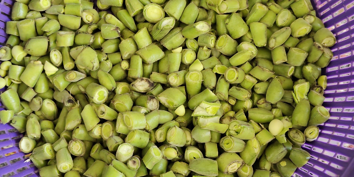 Banner SANA ANSARI ENTERPRISES