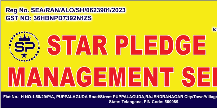 Banner STAR PLEDGE MANAGEMENT SERVICE