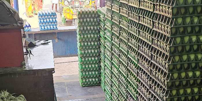 Banner SEEMA NUZHATH