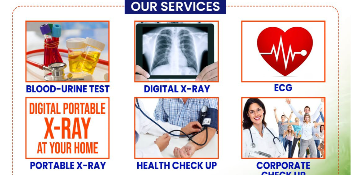 Banner MICRO LABORATORY