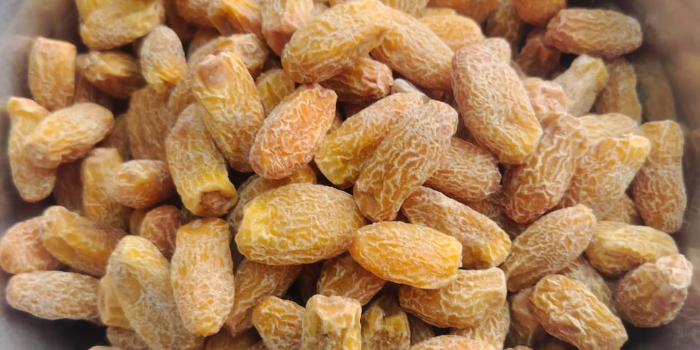 Banner NEW NAVARKAR BROTHERS