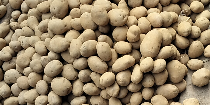 Banner METRO TRADERS