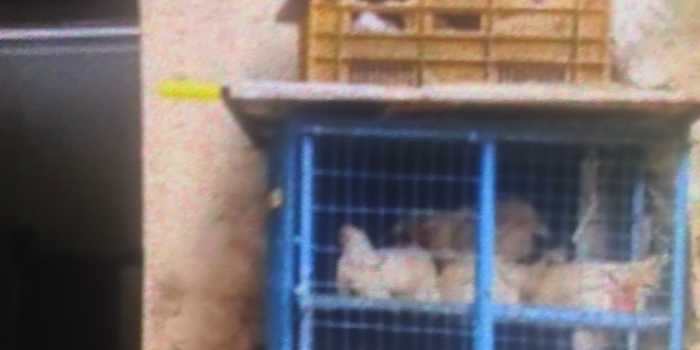 Banner BABU CHICKEN CENTRE