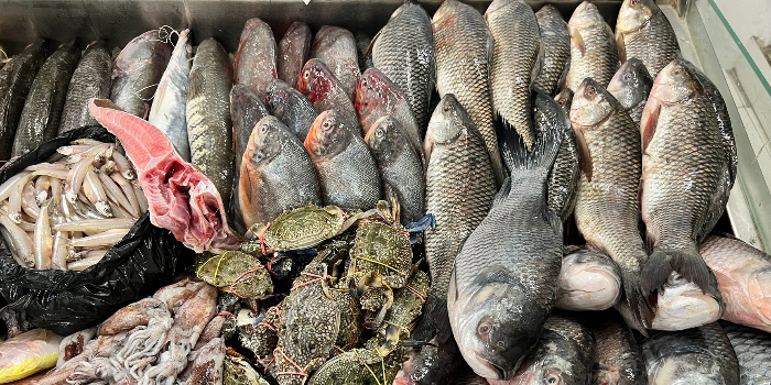 Banner CHANDRAKALA SURESH NIKAM