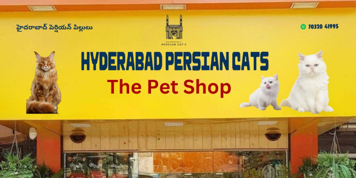 Banner PETS SALE AND CARE