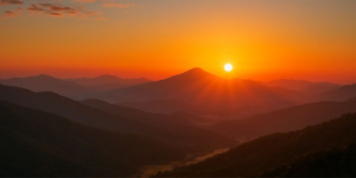 SHAILENDRA SINGH Banner