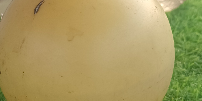 Banner SHOHEB VAHAB SAYYAD