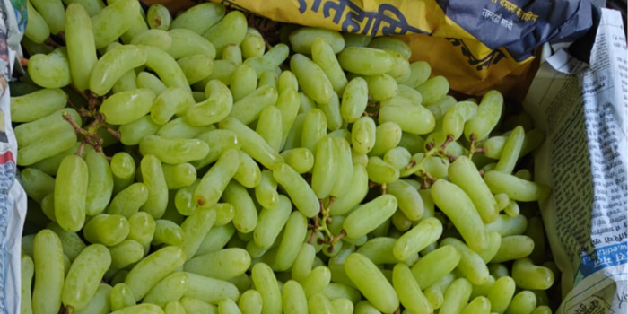 Banner SAHUJI FRUIT AND JUICE SHAKE CORNER