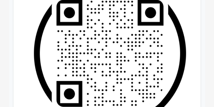 Banner VAYYAVURU NAGAMANI