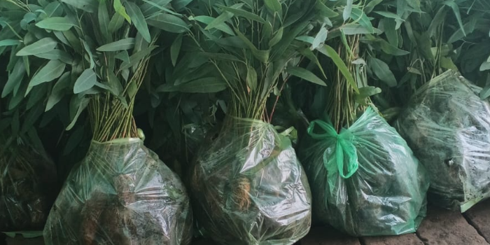 Banner SHER KHAN PAUDHSHALA