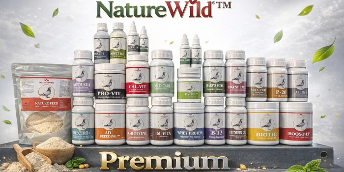 Banner DIPU ENTERPRISE