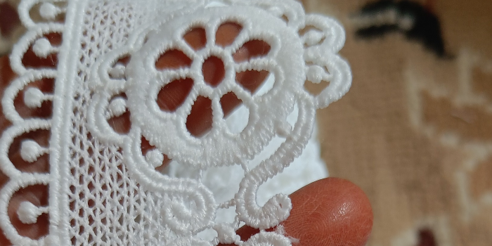 SUGRA BANOO - SUGRA BANOO in Bhilwara