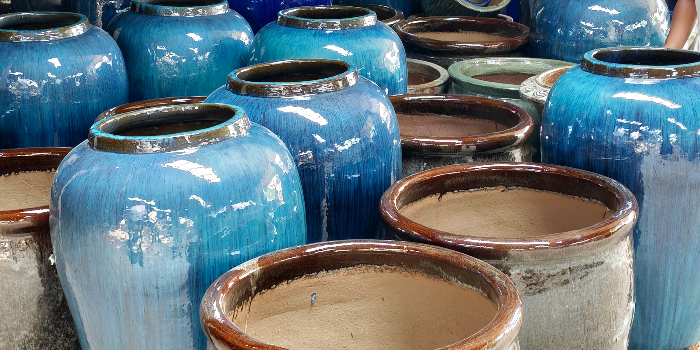 Banner NATURE AND SCIENCE