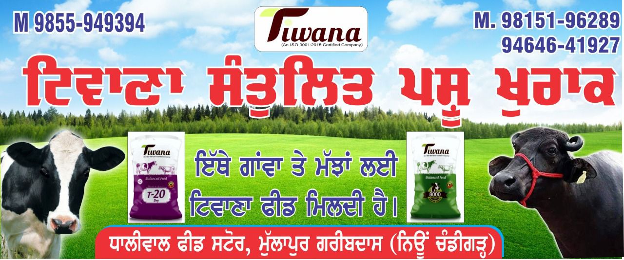 DHALIWAL FEED STORE - DHALIWAL FEED STORE in MOHALI