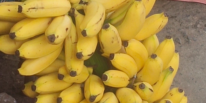 Banner JOGA PAVAN KUMAR