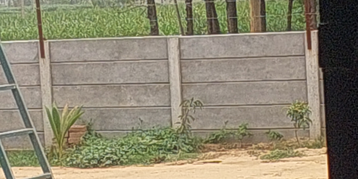 CHAK WALA AGRO FARM - CHAK WALA AGRO FARM in CHAK BAHI KE