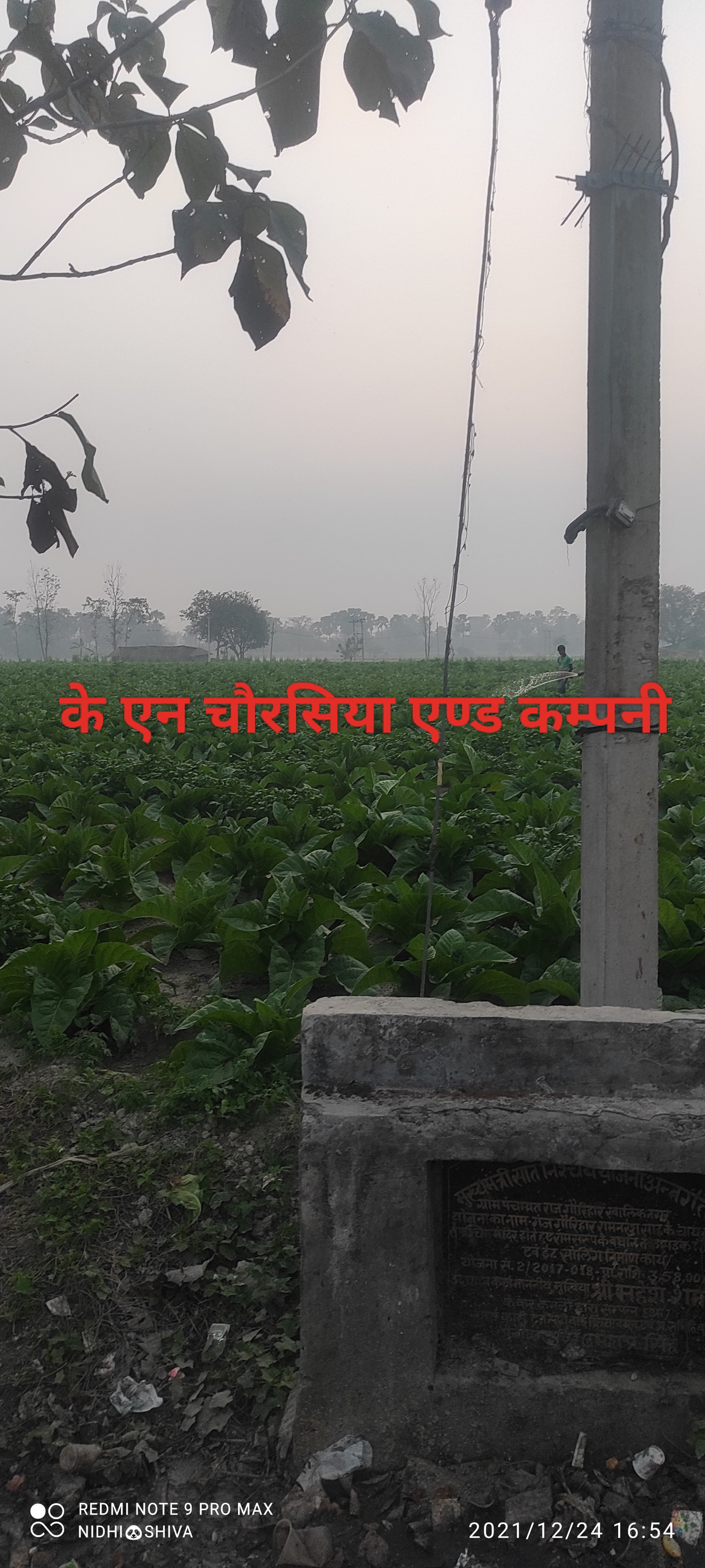 के एन चौरसिया एण्ड कम्पनी - SHIVA KUMAR CHAURASIYA in DEORIA