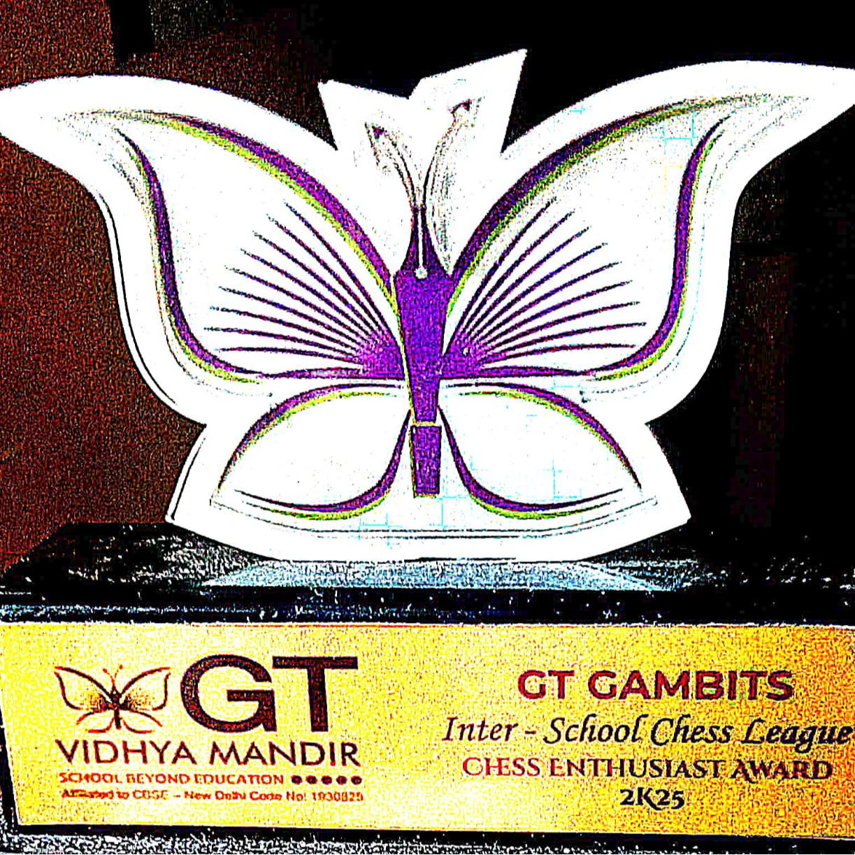 MIGHTY KNIGHT CHESS ACADEMY - Gallery in KARUR