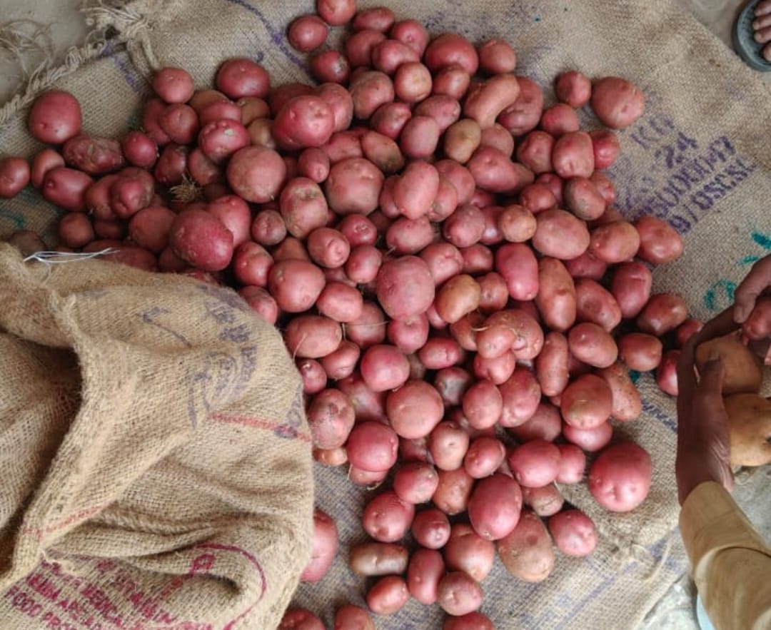  | BADSHAH TRADERS 2 | VILL  KAMRAWAN BLOCK DALSINGHSARAI DALSINGHSARAI SAMASTIPUR BIHAR 848114 848114