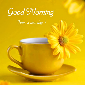 TEA SHOP-https://media.vyaparify.com/vcards/products/102665/product_1734691982.png Image