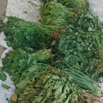 Onion-https://media.vyaparify.com/vcards/products/108884/product_1735727298.png Image