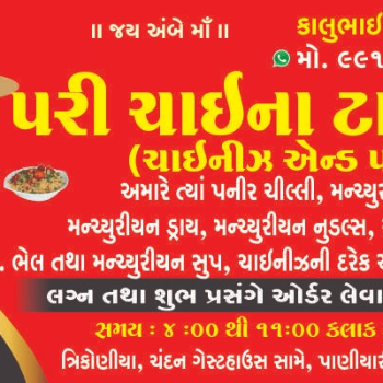 Crispy Veg Manchurian & Paneer Chilli Combo - manchurian - Buy Online at PARICHAIN TWON