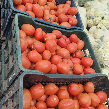 Vegetable-https://media.vyaparify.com/vcards/products/121210/product_1737699816_679331e83e16c.png Image