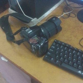 Photo-https://media.vyaparify.com/vcards/products/124187/product_1737963260_679736fc73ef8.png Image