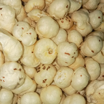 Maize-https://media.vyaparify.com/vcards/products/125381/product_1738059533_6798af0dc2fca.png Image