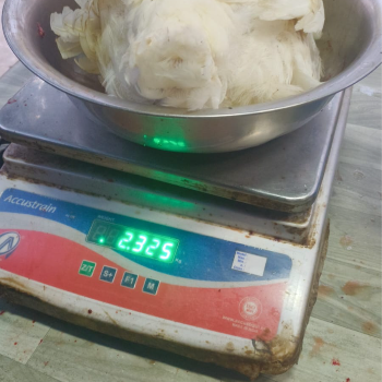 Food groceris-https://media.vyaparify.com/vcards/products/125618/product_1738065374_6798c5dee93f8.png Image