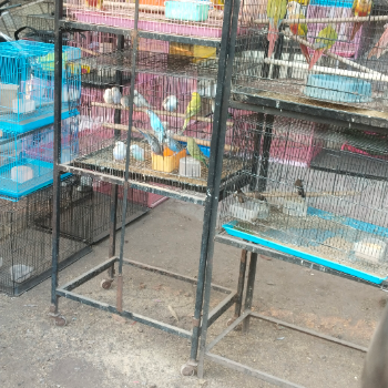 Pet foods-https://media.vyaparify.com/vcards/products/127039/product_1738153087_679a1c7f0a336.png Image