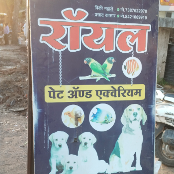 Pet foods-https://media.vyaparify.com/vcards/products/127040/product_1738153087_679a1c7f25675.png Image