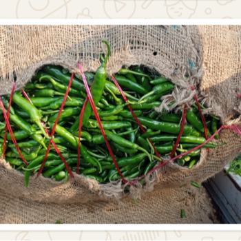 Vegetables-https://media.vyaparify.com/vcards/products/127156/product_1738156983_679a2bb7d294d.png Image