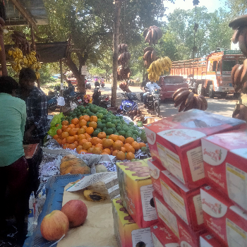 Fruit-https://media.vyaparify.com/vcards/products/132447/product_1738570999_67a07cf74ecb8.png Image