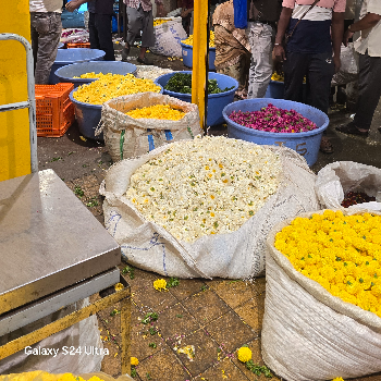 Dhawaleswar pushap bhandar-https://media.vyaparify.com/vcards/products/132741/product_1738738698_67a30c0a8aa87.png Image