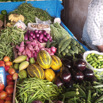 Amit vegitable-https://media.vyaparify.com/vcards/products/136478/product_1739015531_67a7456b5bd56.png Image