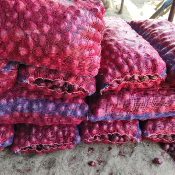 Food-https://media.vyaparify.com/vcards/products/137434/product_1739183643_67a9d61ba52e8.png Image