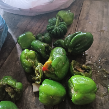 Hotel-https://media.vyaparify.com/vcards/products/138508/product_1739264859_67ab135b9451d.png Image