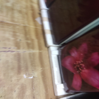 Fridge-https://media.vyaparify.com/vcards/products/139066/product_1739363328_67ac940073e01.png Image