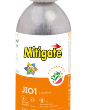 Hybrid beej-https://media.vyaparify.com/vcards/products/139710/product_1739447785_67addde9c4679.png Image