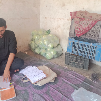 Vegetable-https://media.vyaparify.com/vcards/products/143210/product_1739601144_67b034f848c37.png Image