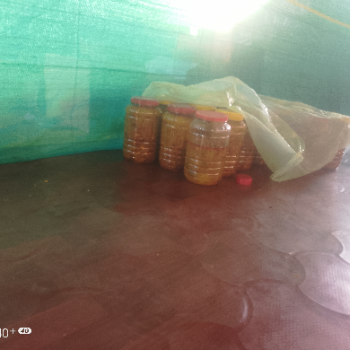 Pickles-https://media.vyaparify.com/vcards/products/143675/product_1739621214_67b0835e24392.png Image