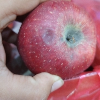 Sabji-https://media.vyaparify.com/vcards/products/144285/product_1739863781_67b436e595e4b.png Image