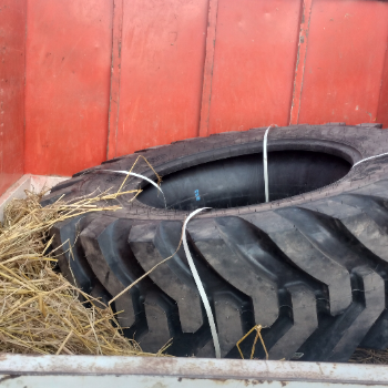 Bjj-https://media.vyaparify.com/vcards/products/144303/product_1739865681_67b43e513e491.png Image