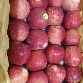 Apple-https://media.vyaparify.com/vcards/products/144382/product_1739873651_67b45d7359832.png Image