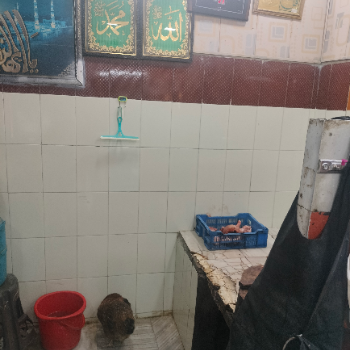 Meet shop-https://media.vyaparify.com/vcards/products/146308/product_1740054110_67b71e5ed2d87.png Image