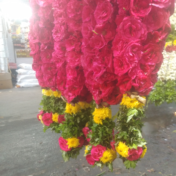 Flowers-https://media.vyaparify.com/vcards/products/147161/product_1740142555_67b877db36b2e.png Image