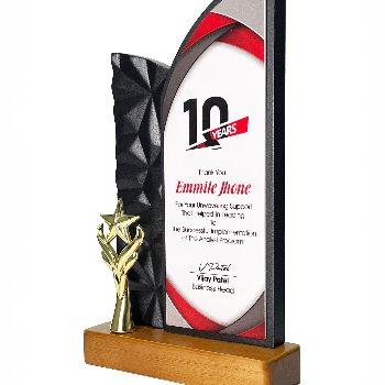 WOODEN TROPHY WITH STAR-https://media.vyaparify.com/vcards/products/151890/product_1740660184_67c05dd82f7de.png Image