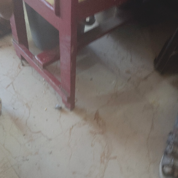 Fast food-https://media.vyaparify.com/vcards/products/154294/product_1740823709_67c2dc9dc10d1.png Image