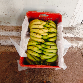 Fruits-https://media.vyaparify.com/vcards/products/155075/product_1741073649_67c6acf17de07.png Image